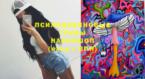 индика Михайлов