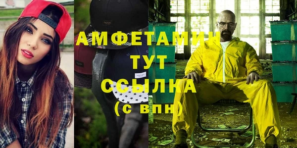 индика Михайловка