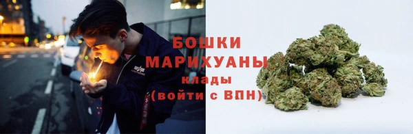 индика Михайловка