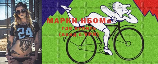 индика Михайлов