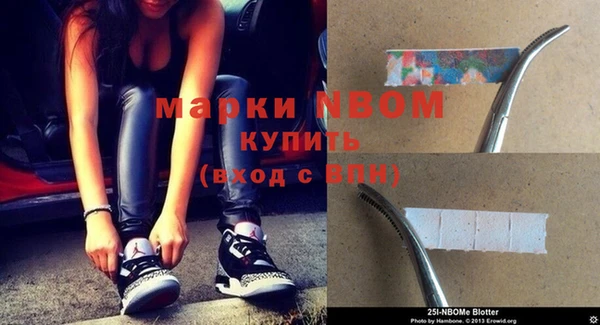 индика Михайловка