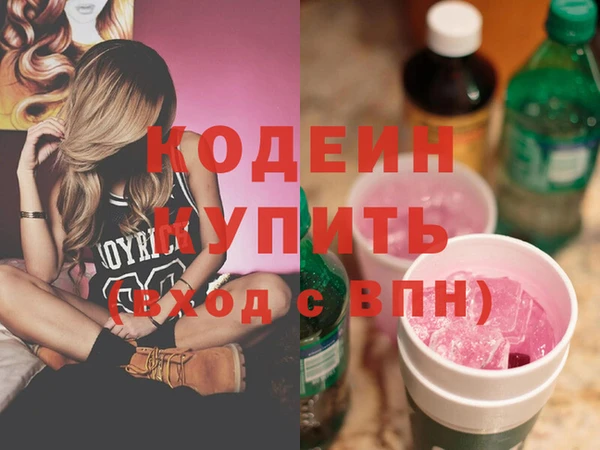 индика Михайлов