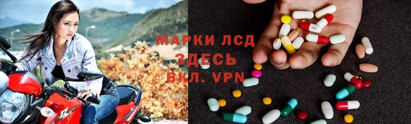 индика Михайловка