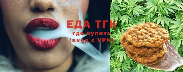 индика Михайлов