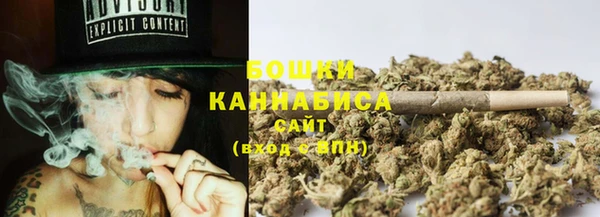 индика Михайлов