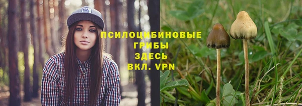 индика Михайлов