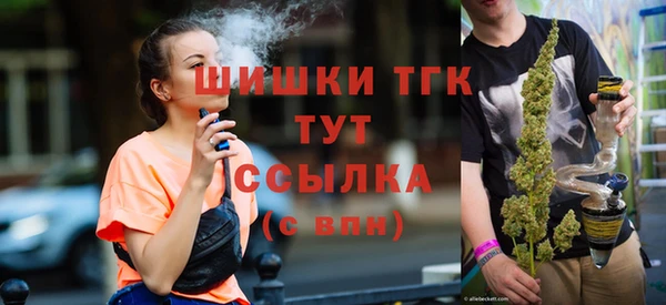 индика Михайлов