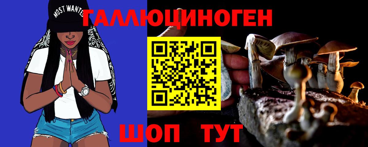 Ухта  Псилоцибиновые грибы Psilocybine cubensis  Вход с VPN 